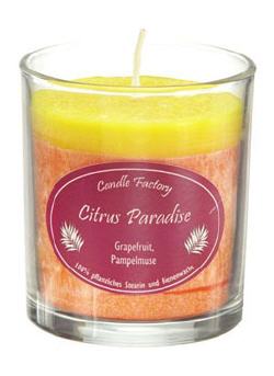 Party Light Citrus Paradise Duftkerze von Candle Factory