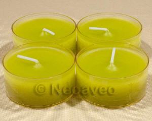 Maxi Teelicht Farn im Acrylbecher. F�r Windlciht, Kerzenglas oder zur Dekoration.
