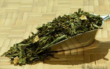 Kaktusfeige Grüner Tee mimt fruchter Süsse.