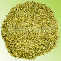 Gr&uuml;ner Hafertee - Kr&auml;utertee, gr&uuml;nes Haferstroh