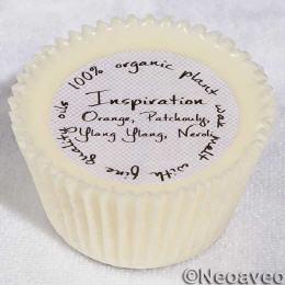 Wachs Melt Inspiration