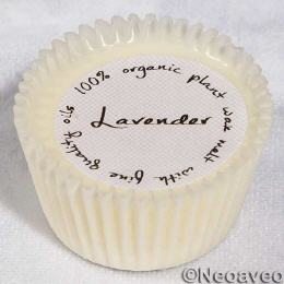 Wachs Melt  Lavendel