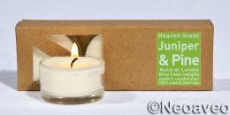 Wacholder und Pinie Natur Glas Duftteelichter von Heaven Scent, mit w&uuml;rzig-holzigem Duft, aus nachwachsenden Rohstoffen hergestellt.
