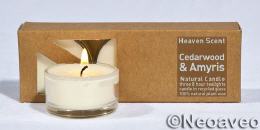 3 St&uuml;ck Zedernholz und Amyris Glas Duftteelicht von Heaven Scent. Aus pflanzlichen Rohstoffen hergestellt.