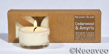 3 St�ck Zedernholz und Amyris Glas Duftteelicht von Heaven Scent. Aus pflanzlichen Rohstoffen hergestellt.