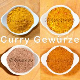 Curry Gewürzmischungen für indischen oder asiatischen Genuss scharfer Speisen mit der beliebten Currynote.