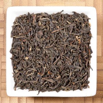 Golden Tippy OP, Vietnam, Tee-Rarität, Schwarzer Tee, vollwürzig, aromatisch im Geschmack, Ausschank mit Samowar