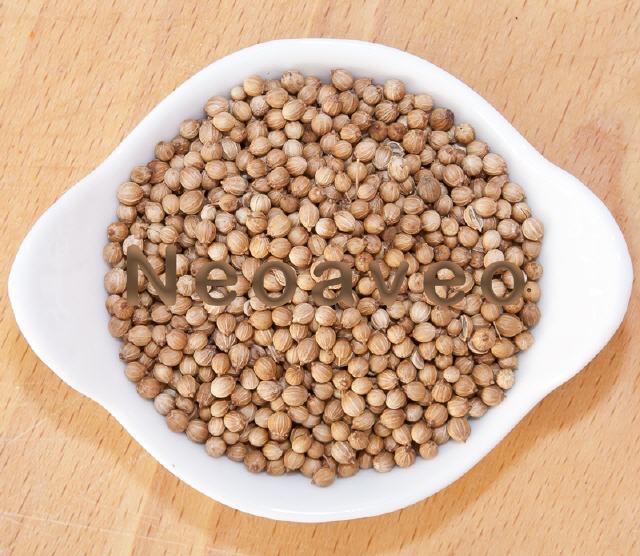 Coriander ganze Kerne