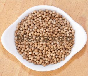 Coriander-ganze Kerne, K�chen- und Brotgew�ez, Zutat an Brotgew�rzen