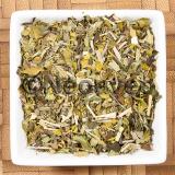 Teespezialit�t Moringa Powertee mit Kr�utern, wei�em Tee, Melisse und spritzigem Zitronengras