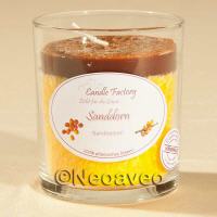 Party Light Sanddorn Duftkerze von Candle Factory mit Beerigem Duft der K�ste. Angenehmes Dufterlebnis, Licht f�r die Sinne.