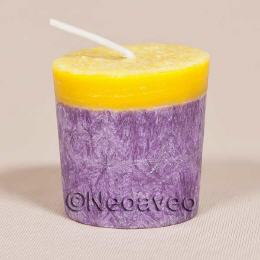 Votivkerze Winterpflaume mit fruchtigem Herbstduft, Votiv Duftkerzen, Duftvotivkerzen, Candle Factory